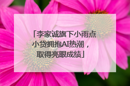 李家诚旗下小雨点小贷拥抱AI热潮，取得亮眼成绩